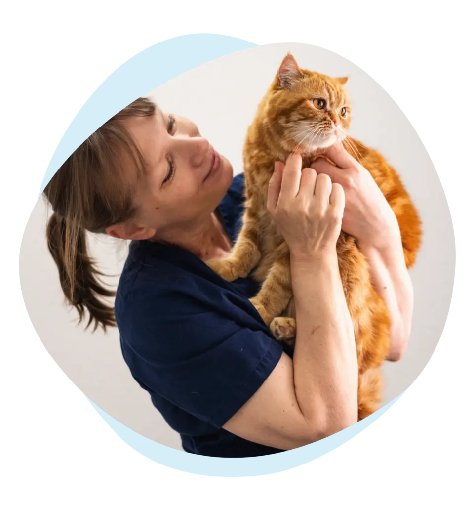 Katze auf Arm einer Tierarzthelferin