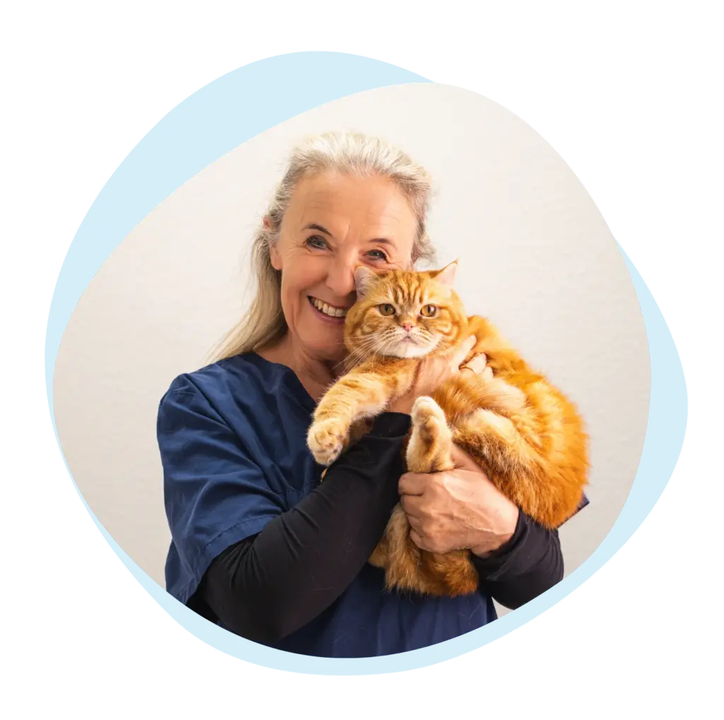 Katze auf dem Arm von Monika Weiss